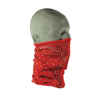 zanHEADGEAR Motley Neck Tube - Paisley Red