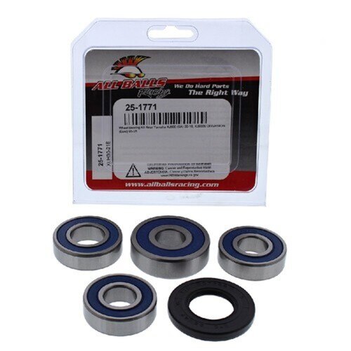 All Balls Wheel Bearing Kit - Rear Yamaha XJ900S 95-01