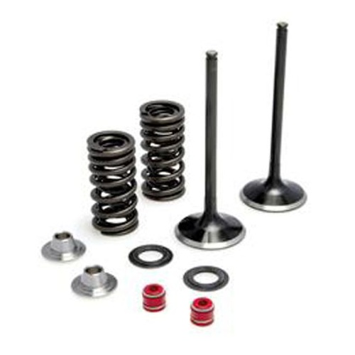 INTAKE ONLY - STEEL VALVE & SPRING KIT