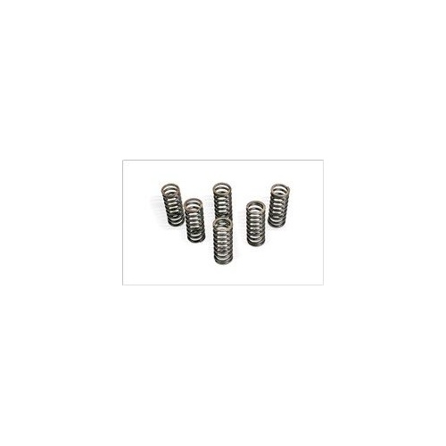 CLUTCH SPRING KIT (SET OF 6)