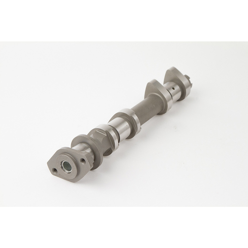 Camshafts POL RZRXP900 11-15 Dual cam engine