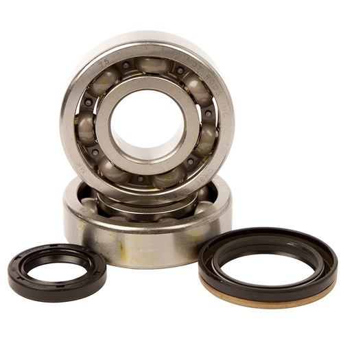 Hot Rod Main Bearing & Seal Kits RMX 250 95-98