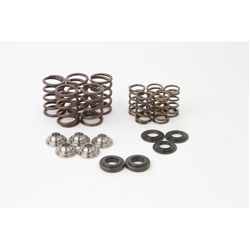 Valve Spring Kit YAM RAPTOR660 01-05