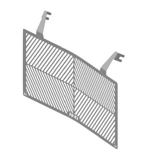 R&G Stainless Steel Radiator Guard,Monster (950) / + '21-