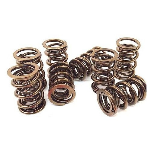 Ape Valve Spring Kit Kawasaki Zx-10 '04-07